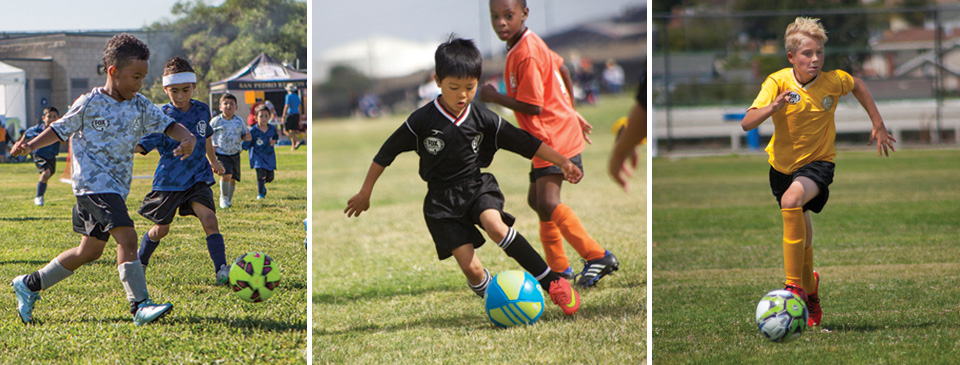 Fall 2025 Schedules