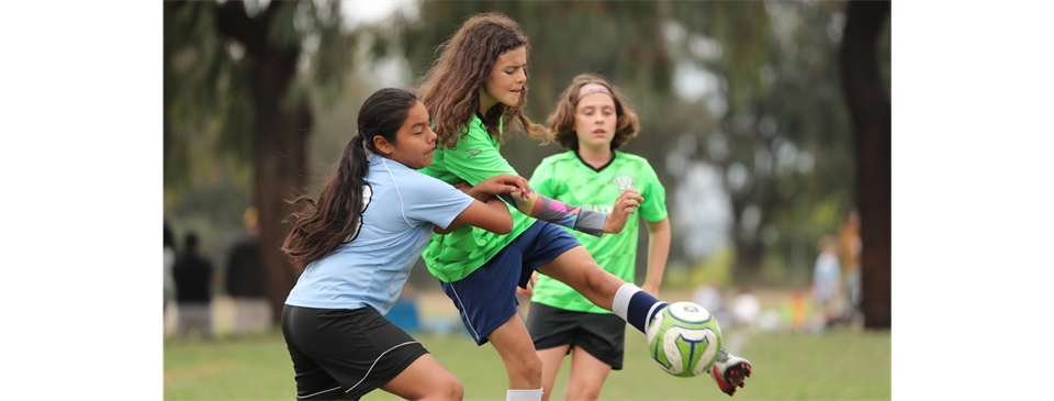 Player Development